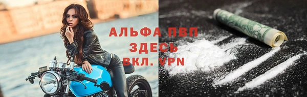мдпв Елабуга