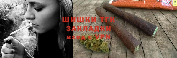 МДПВ Ельня
