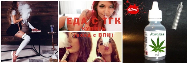 МДПВ Ельня