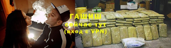 мдпв Елабуга