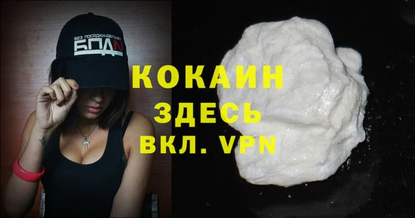 мдпв Елабуга