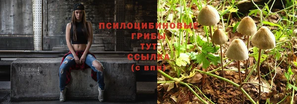 a pvp Елизово