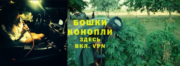 МДПВ Ельня