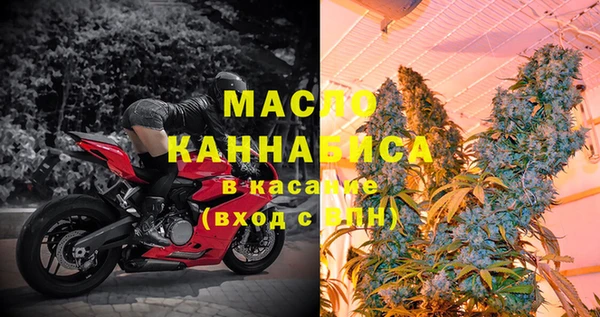 МДПВ Ельня