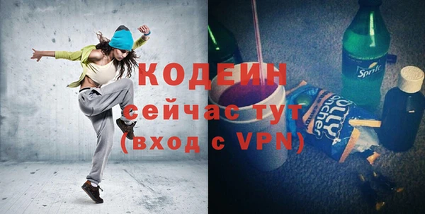 МДПВ Ельня