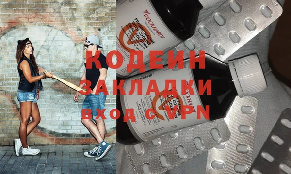 мдпв Елабуга