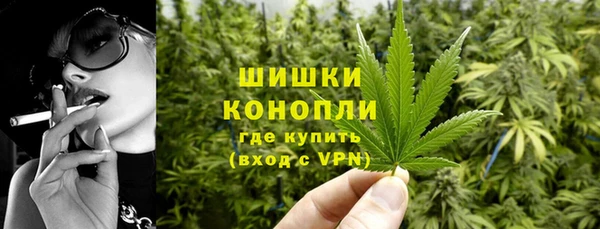 мдпв Елабуга