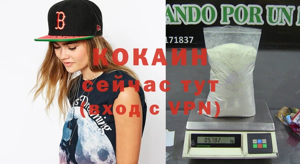 МДПВ Ельня