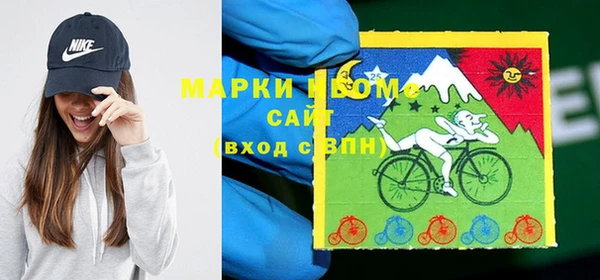 мдпв Елабуга
