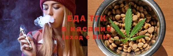 мдпв Елабуга