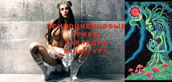 МДПВ Ельня