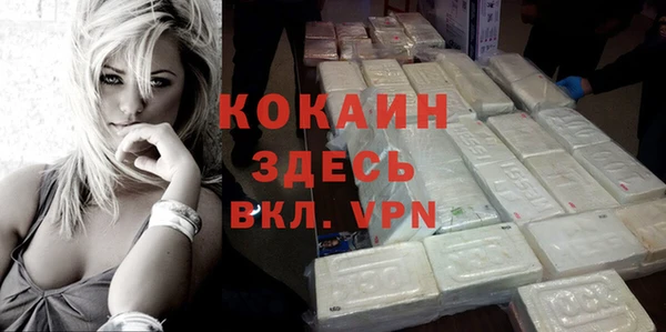 мдпв Елабуга