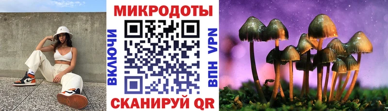 Галлюциногенные грибы Psilocybine cubensis  Купить  Кологрив 